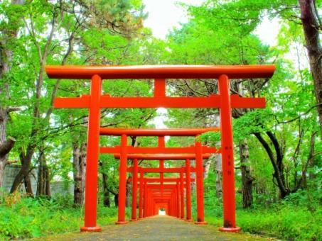 Kyonoya Fushimi Inari Villa Kyoto Buitenkant foto